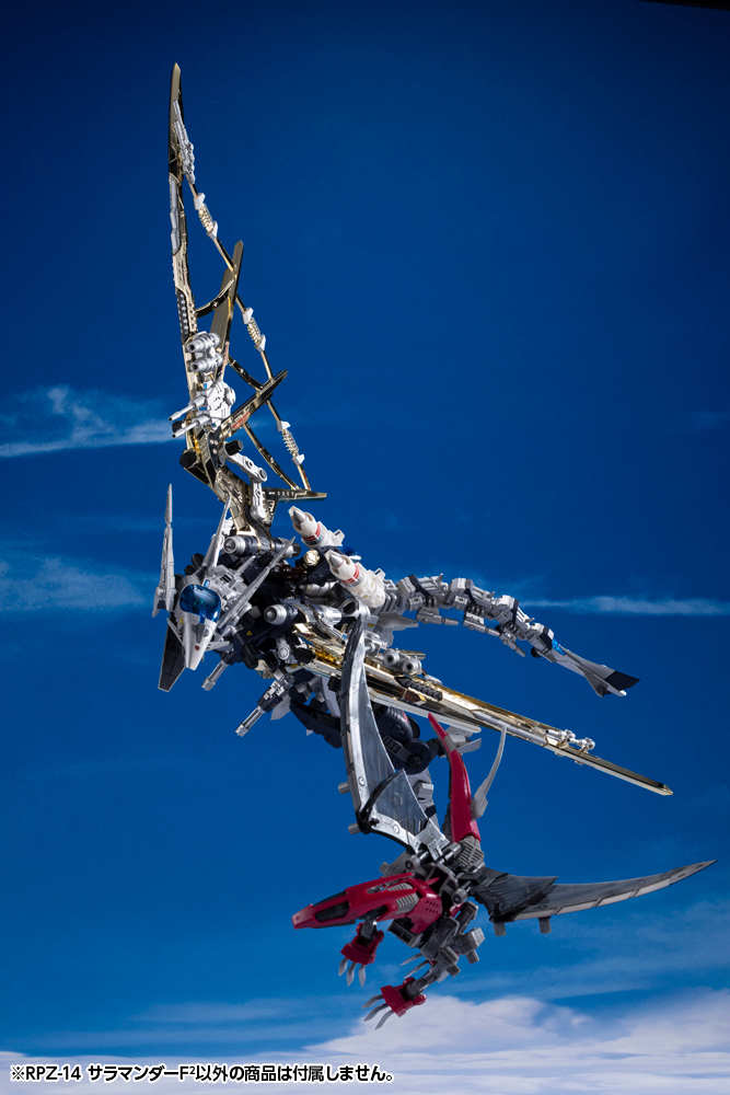 ZD196_salamander-f2_08