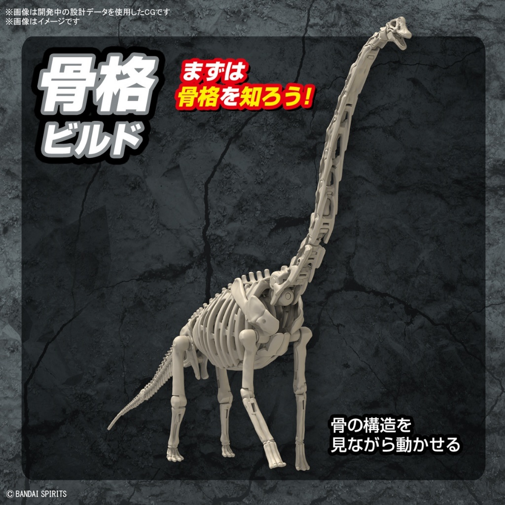 my-11134207-7rash-m3d8bjisgqyk01