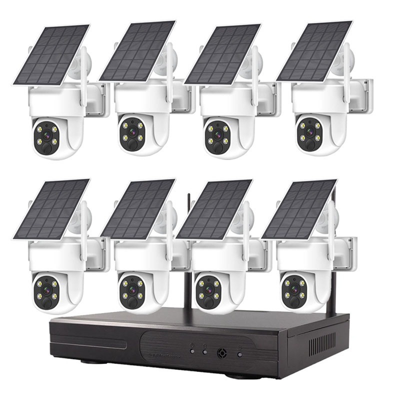 tw-11134207-7rash-m1zf2rczpgp09a