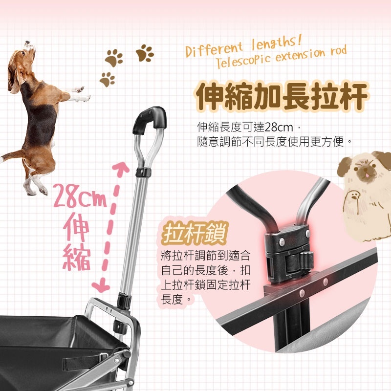 37fed44041408fa5332f8d011505c2ac