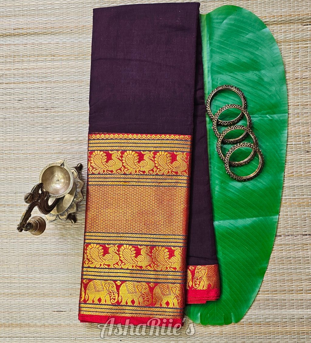 InShot_20260131_165452016