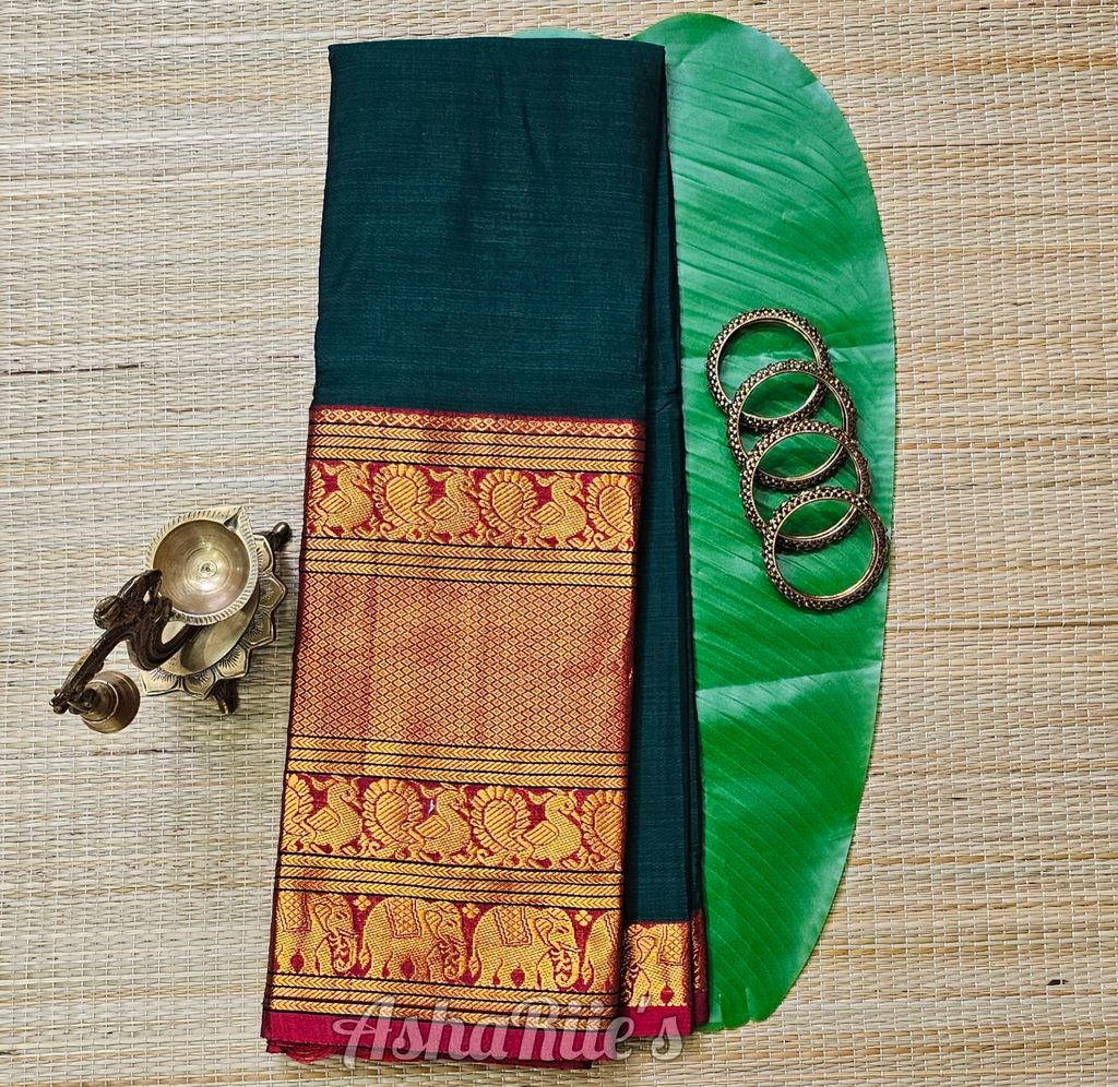 InShot_20260131_165415516