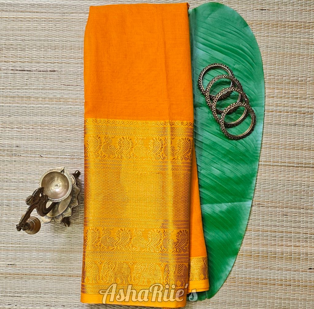 InShot_20260131_165051700