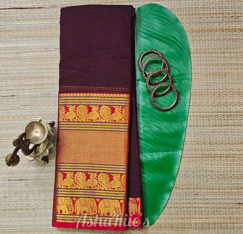 InShot_20260131_162924643