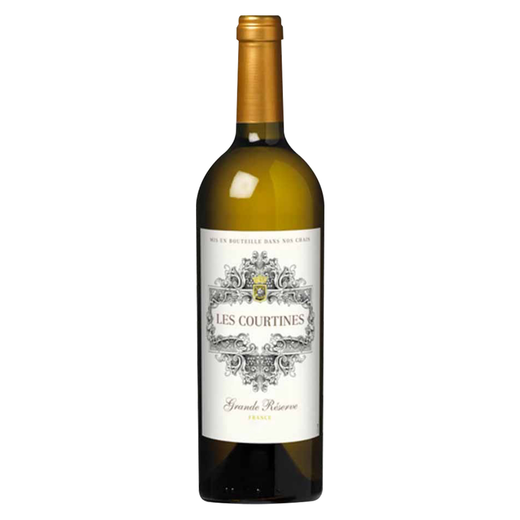 未命名設計 - 2026-03-09T172849.541