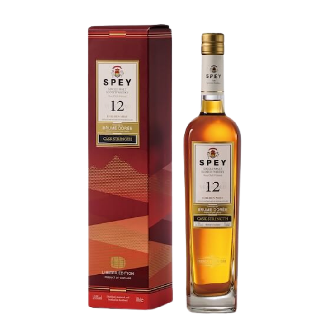 未命名設計 - 2026-03-16T214359.935