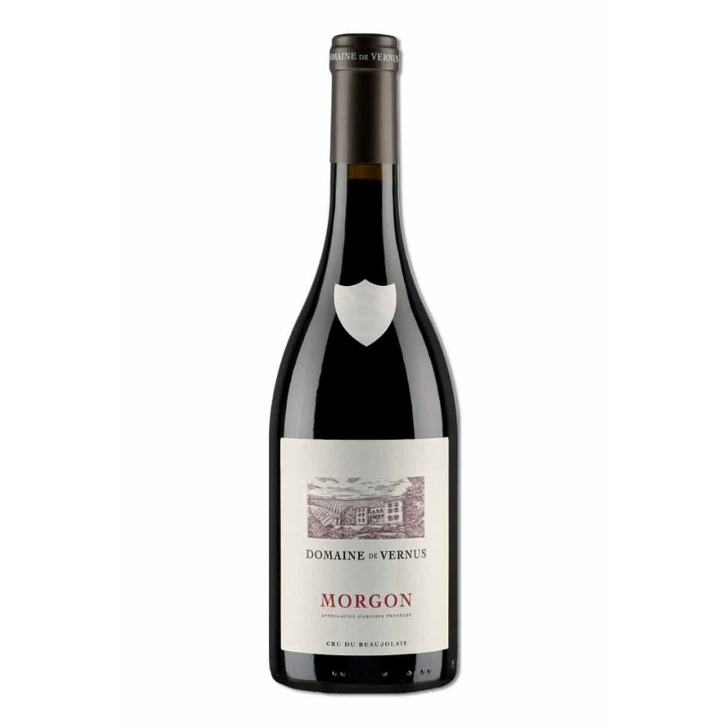 未命名設計 - 2025-12-15T194327.292