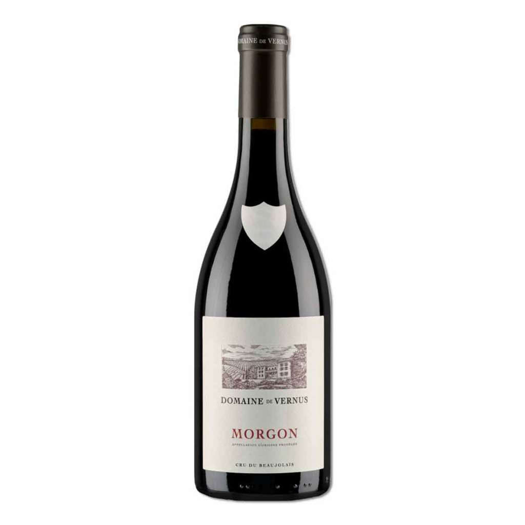 未命名設計 - 2025-12-15T194327.292