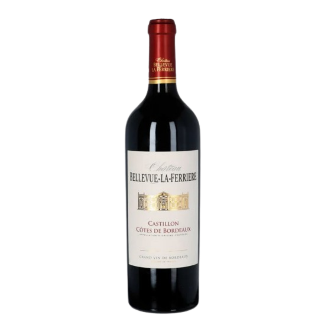 未命名設計 - 2025-12-30T150453.441