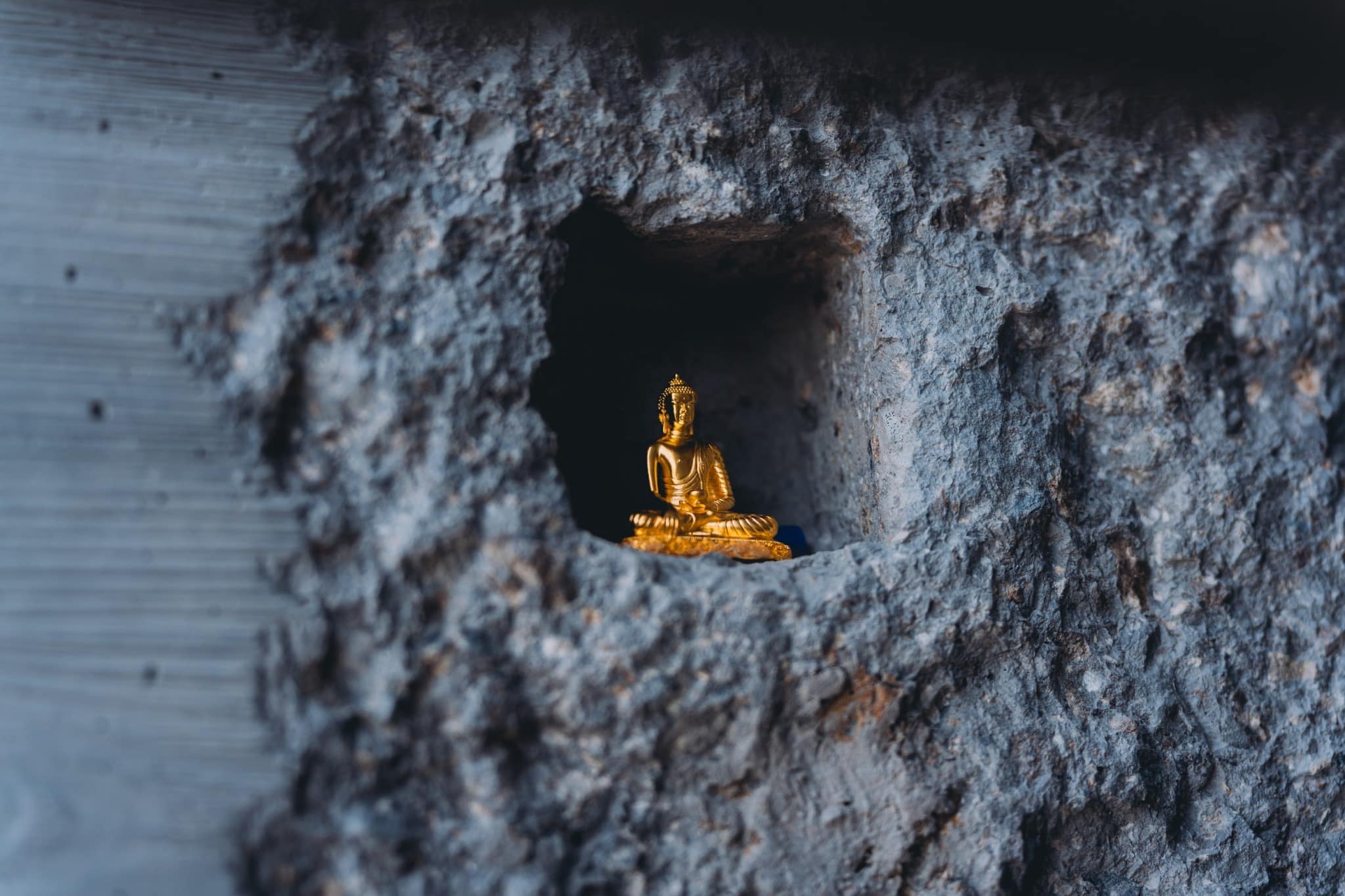 485067220_968215308830907_5795752473836579827_n