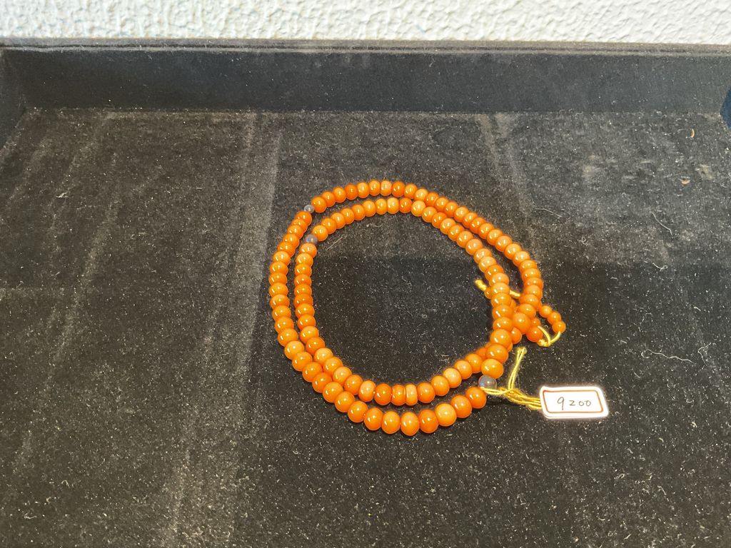 IMG_0113-1736994726256