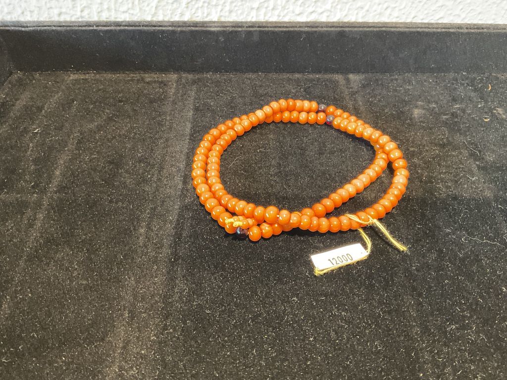 IMG_0114-1736994726875