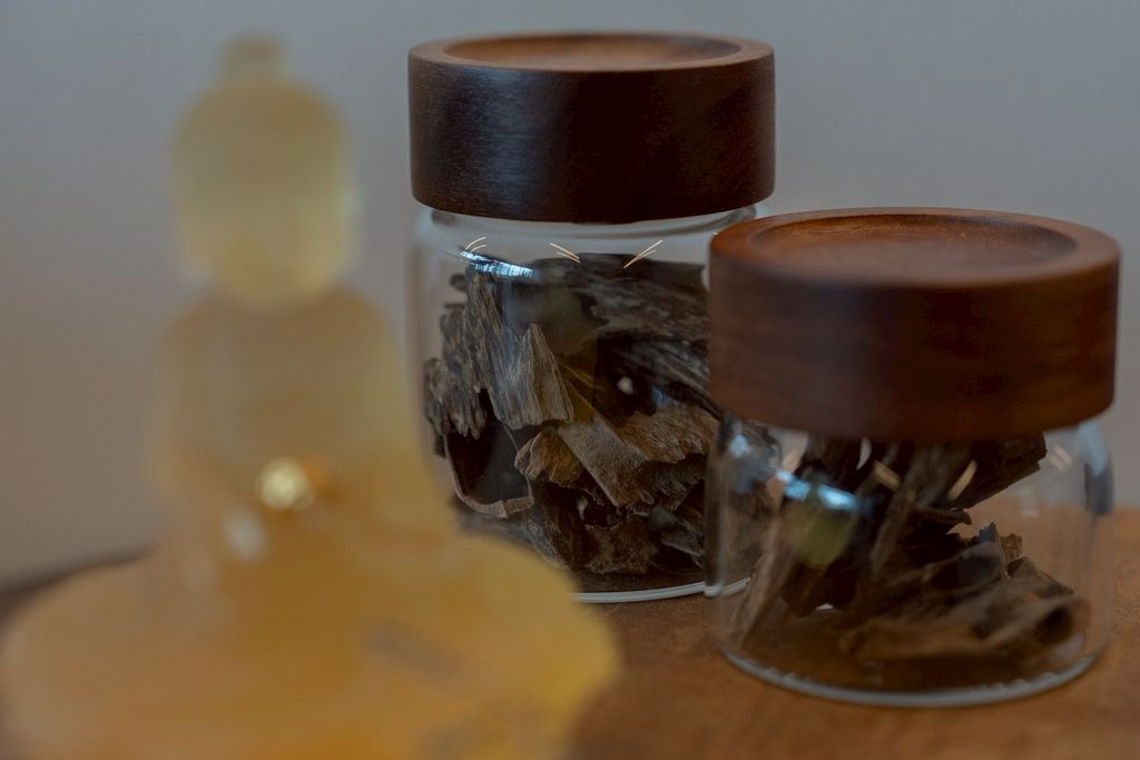 image_0D5AB5CE-9B67-45D0-886F-8A29AA606C4F_1744357895