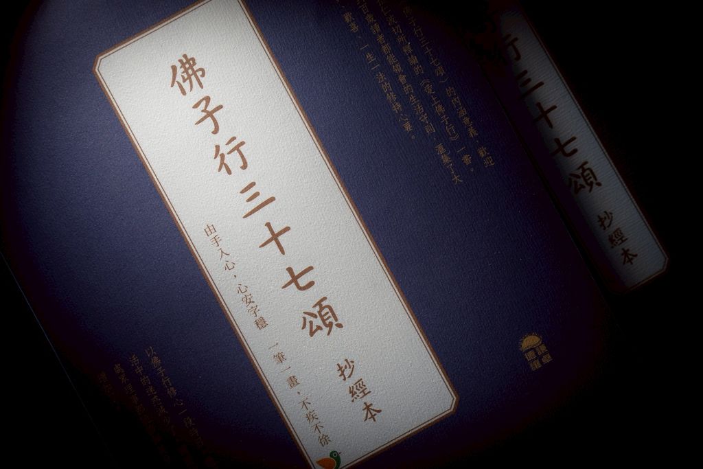 image_B5331F5A-5735-4AE9-BBE3-CCBB3FF715F1_1744364516