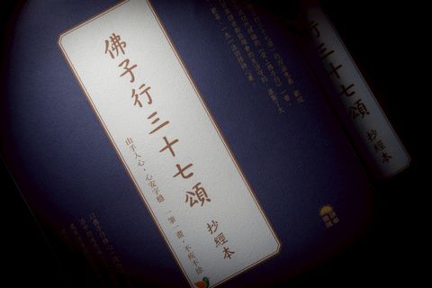 image_B5331F5A-5735-4AE9-BBE3-CCBB3FF715F1_1744364516