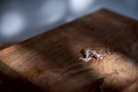 image_0FD72621-68CF-4C88-AFA2-1F56A6EE2FA5_1744365119