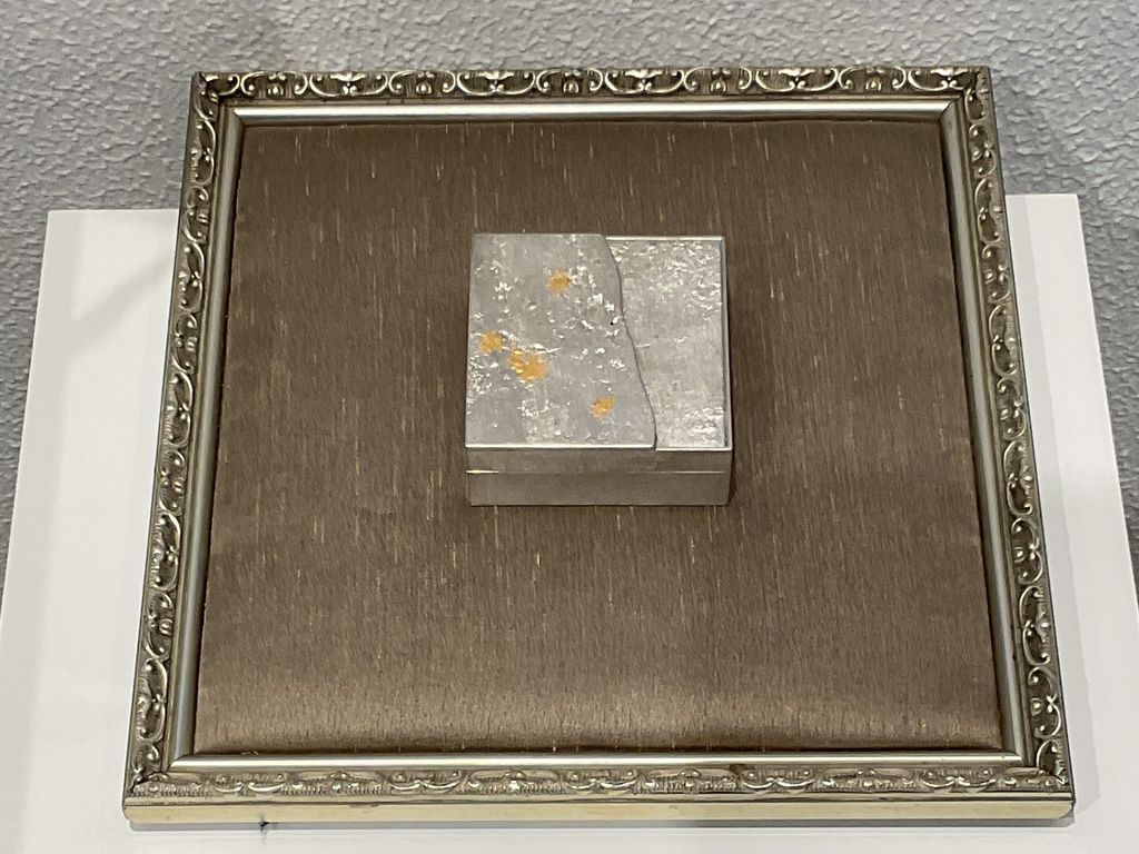 image_A231C810-E4BE-46D8-8CBF-BFD9764F78F5_1754019990