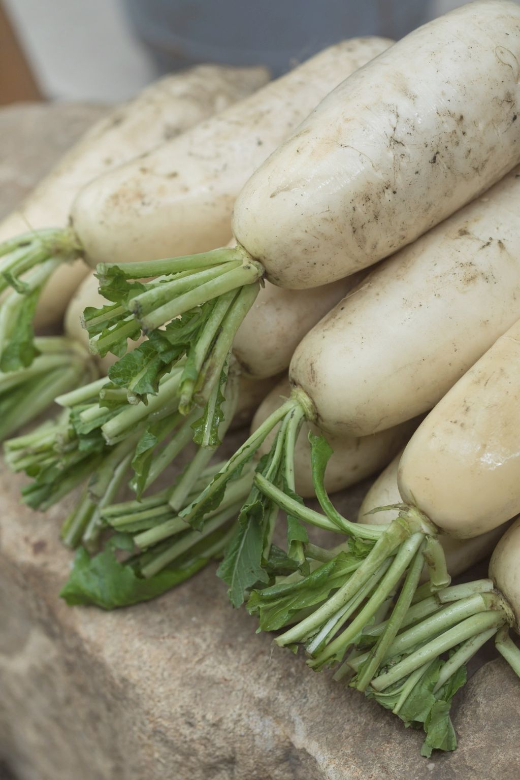 LINE_ALBUM_2026虛空食事_手作蘿蔔糕_260128_1