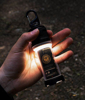 Arbor Dual Light1