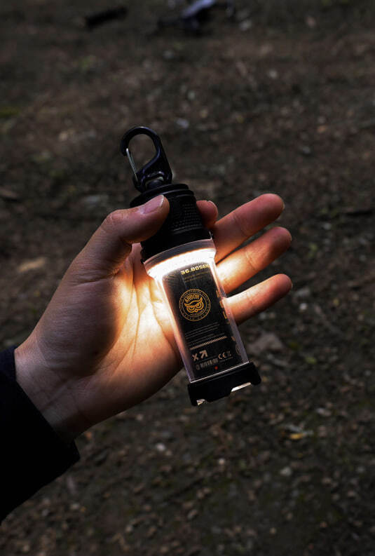 Arbor Dual Light3