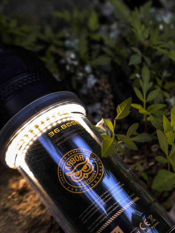 Arbor Dual Light2