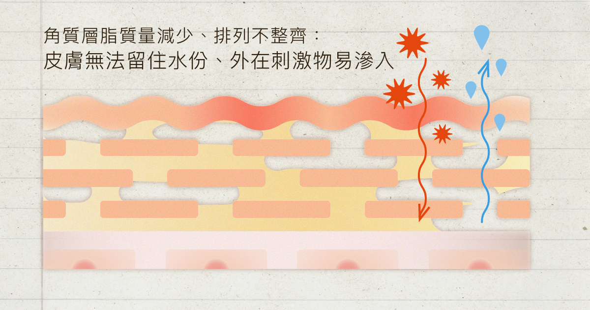 en-social lotion_工作區域 133 複本 3