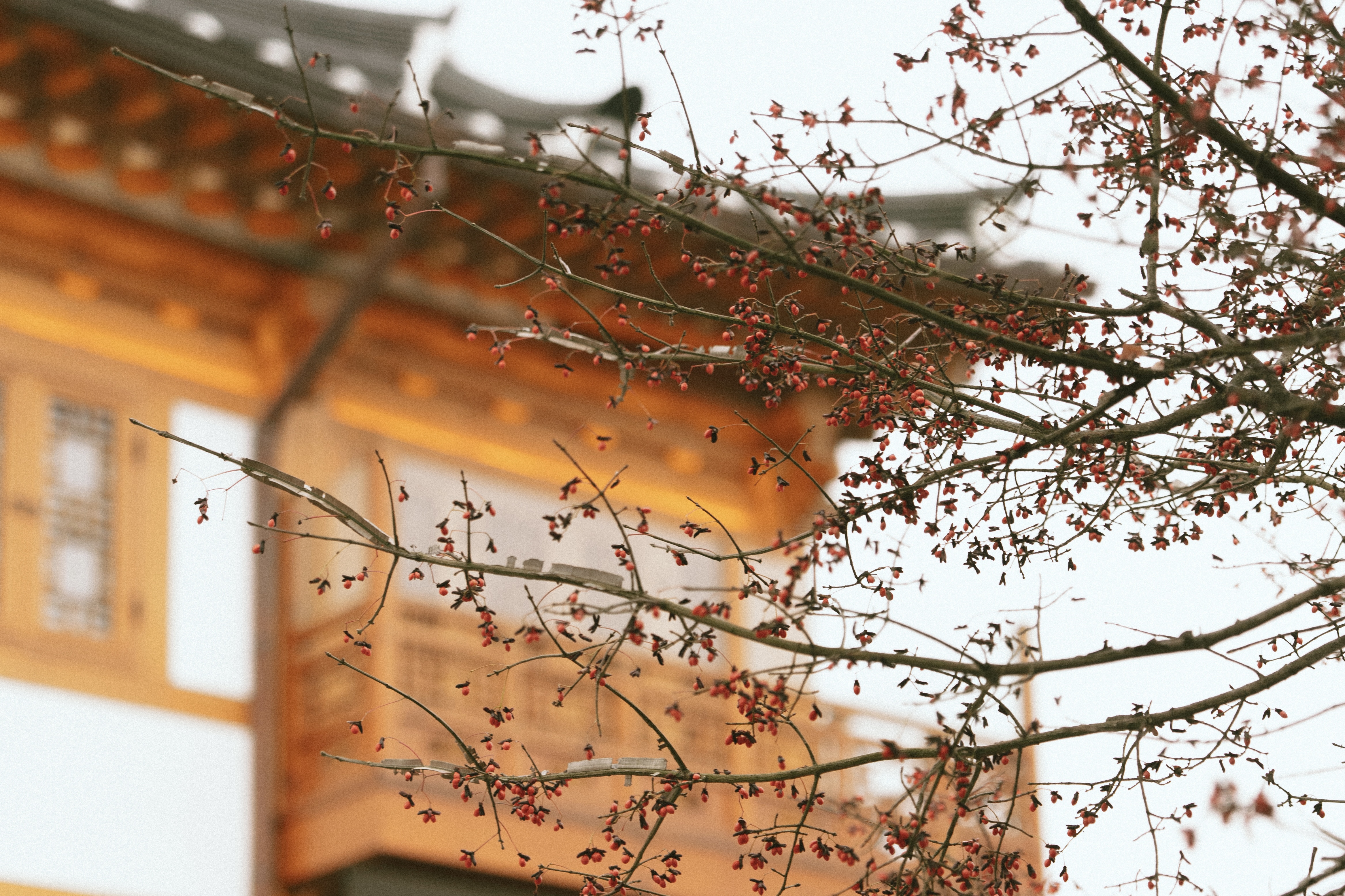 Cynthia's skincare must picks!｜專屬優惠