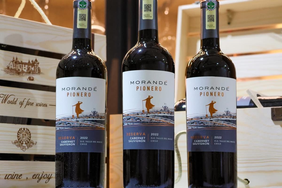 WhatsApp Image 2025-01-03 at 07.47.17_b5dd3839