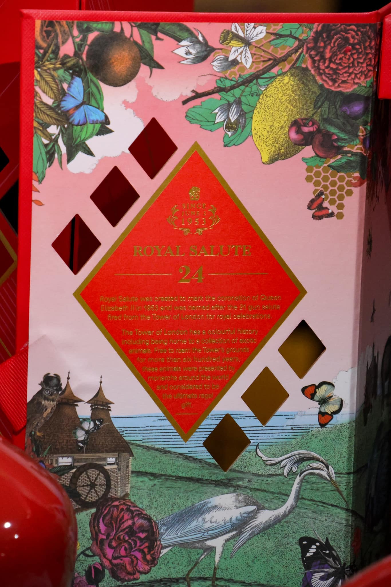 487195940_122250076028224689_5663780289192622720_n