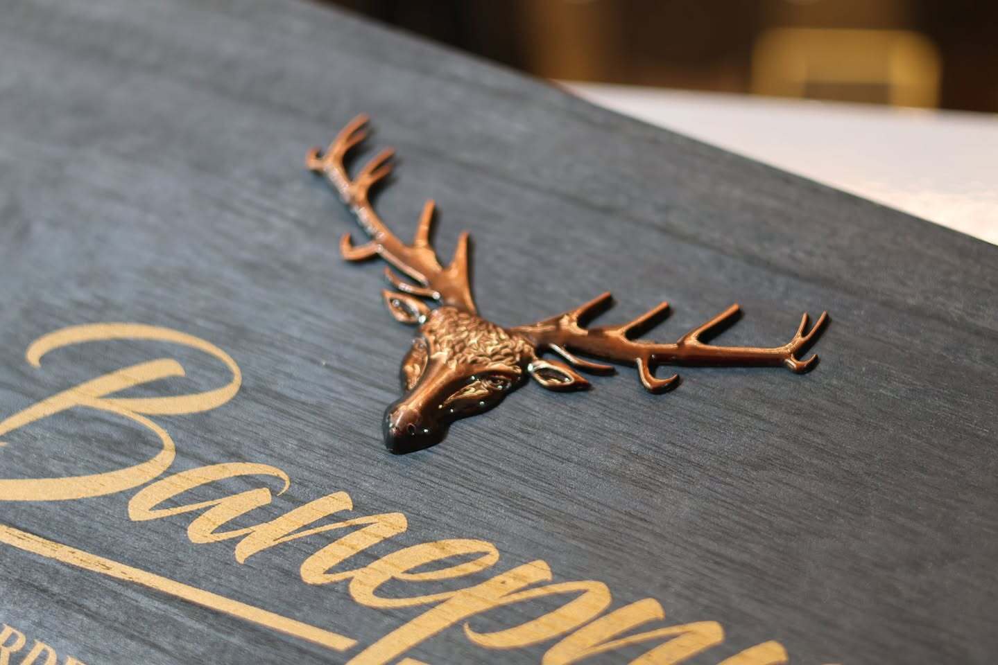 492380641_122261232206224689_3917039264662504529_n