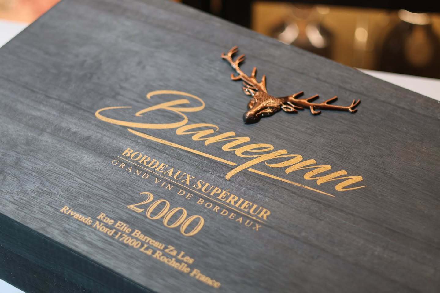 492407451_122261232236224689_505895395305411310_n