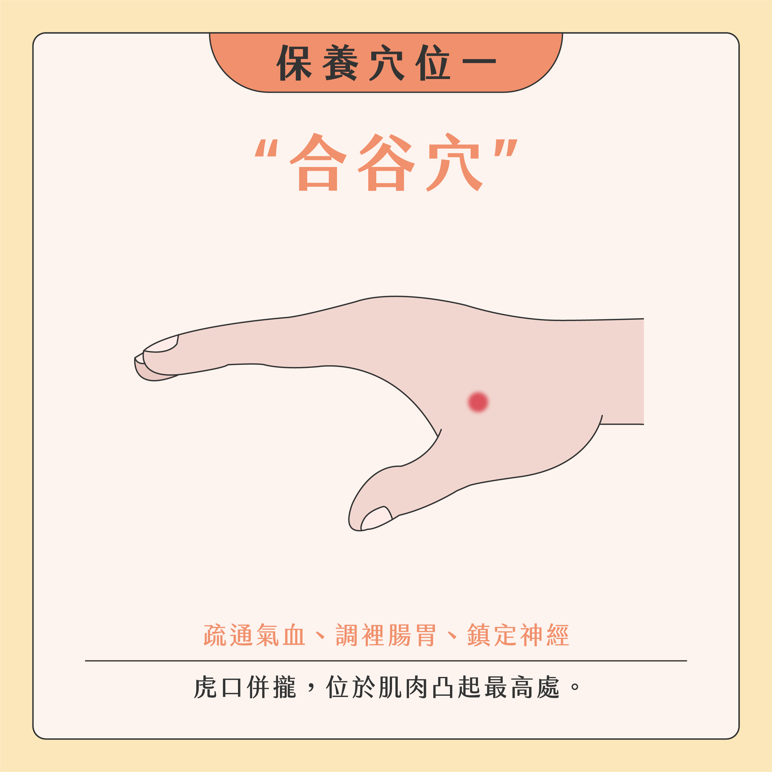 臉部按摩器挑選02