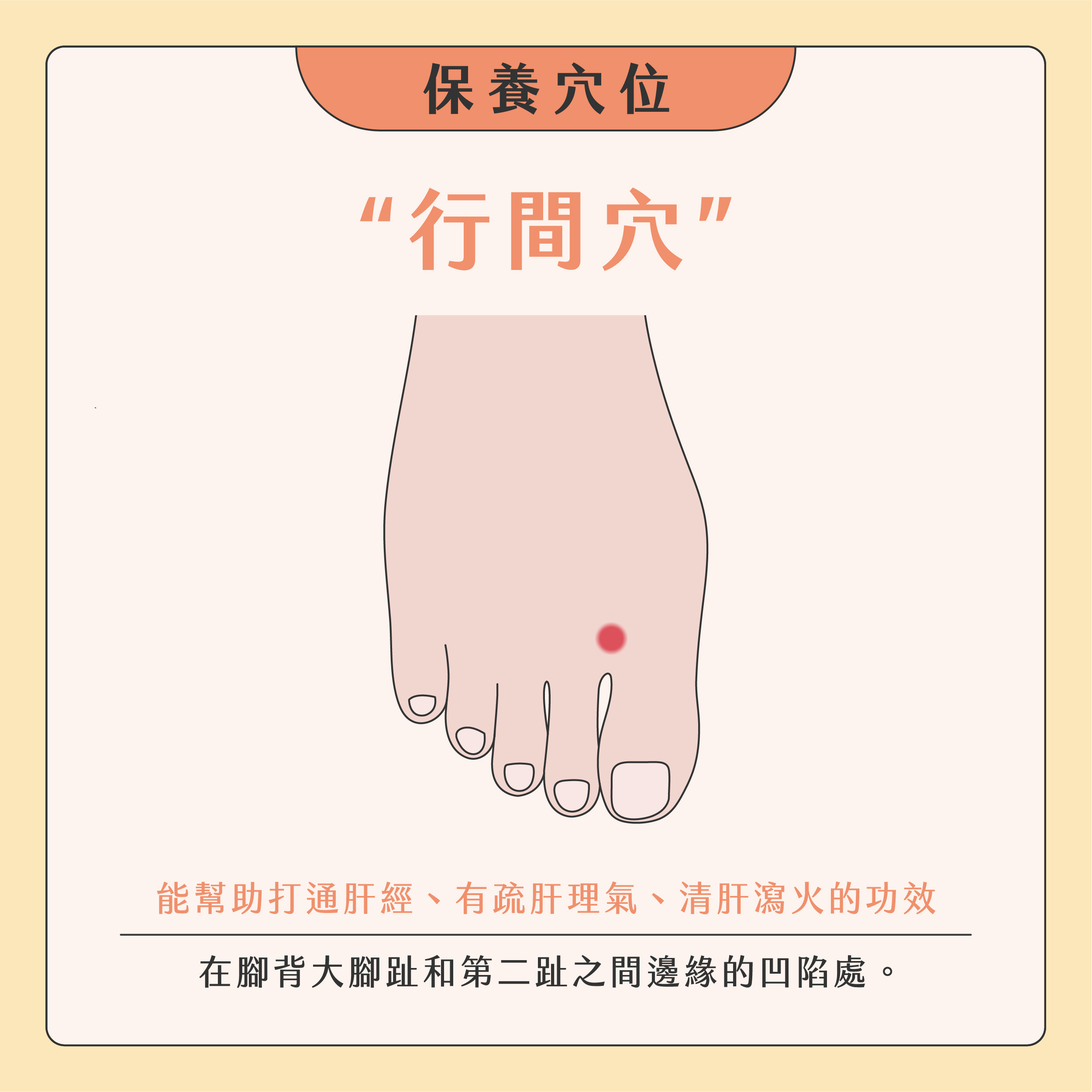 臉部按摩器挑選02