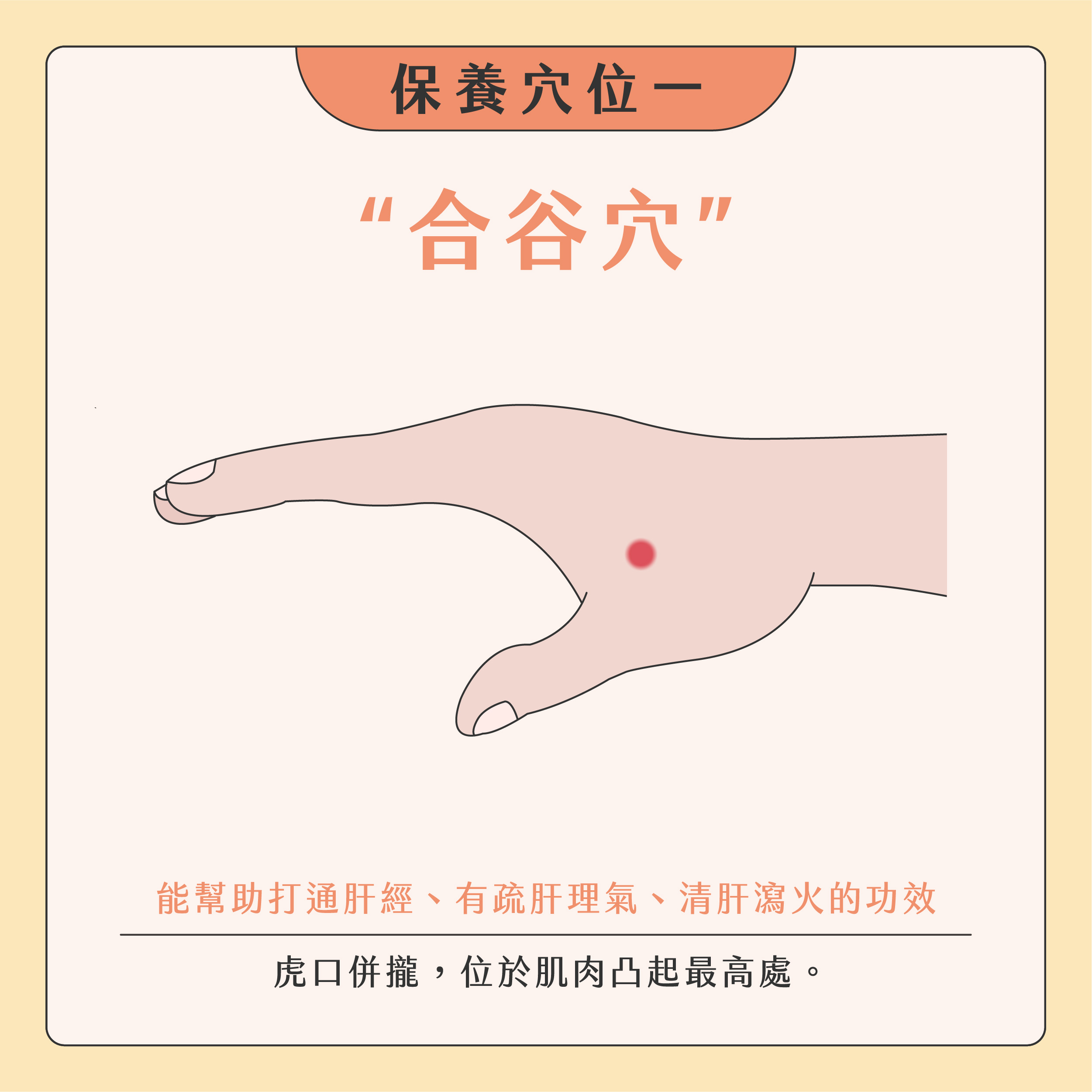 臉部按摩器挑選02