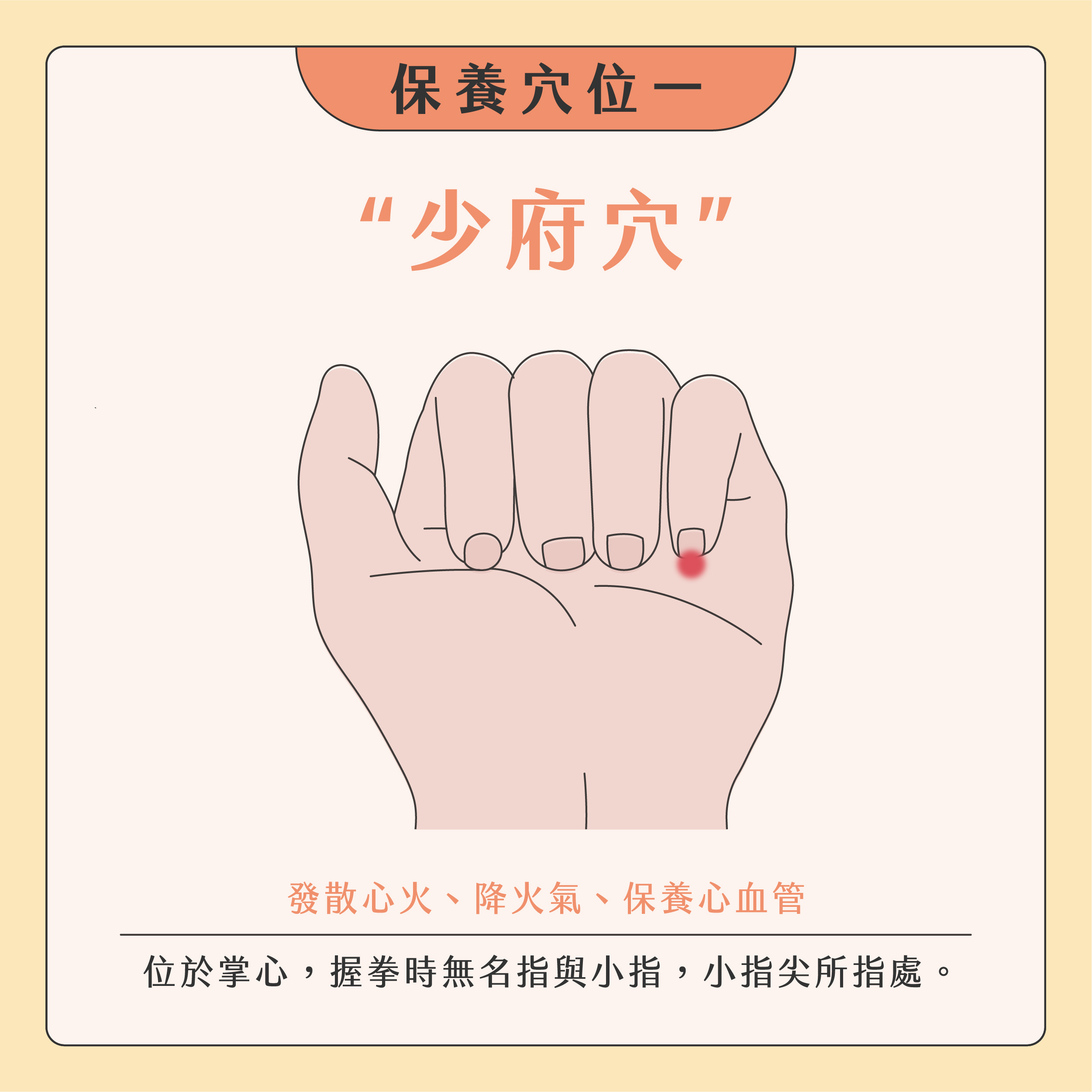 臉部按摩器挑選02