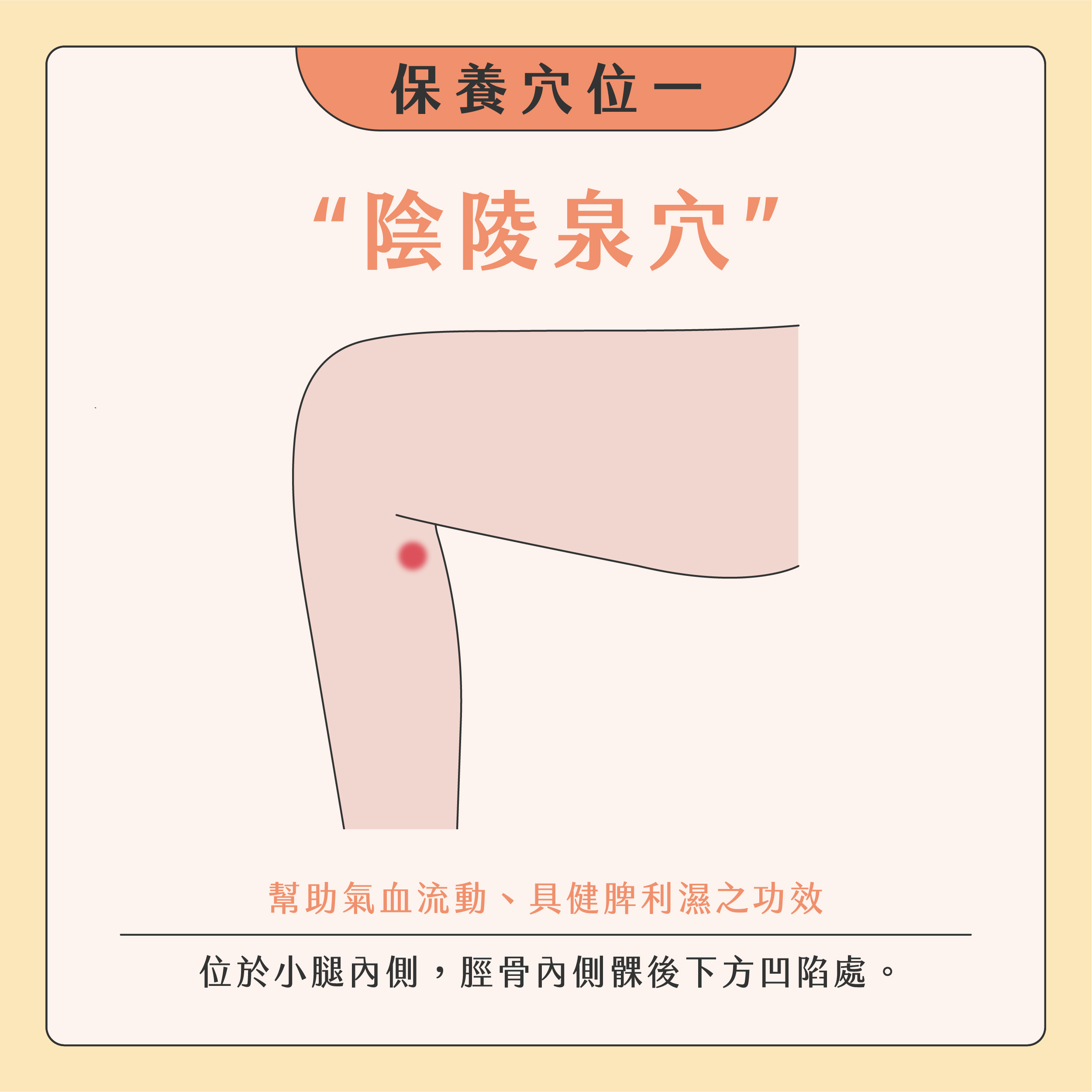 臉部按摩器挑選02