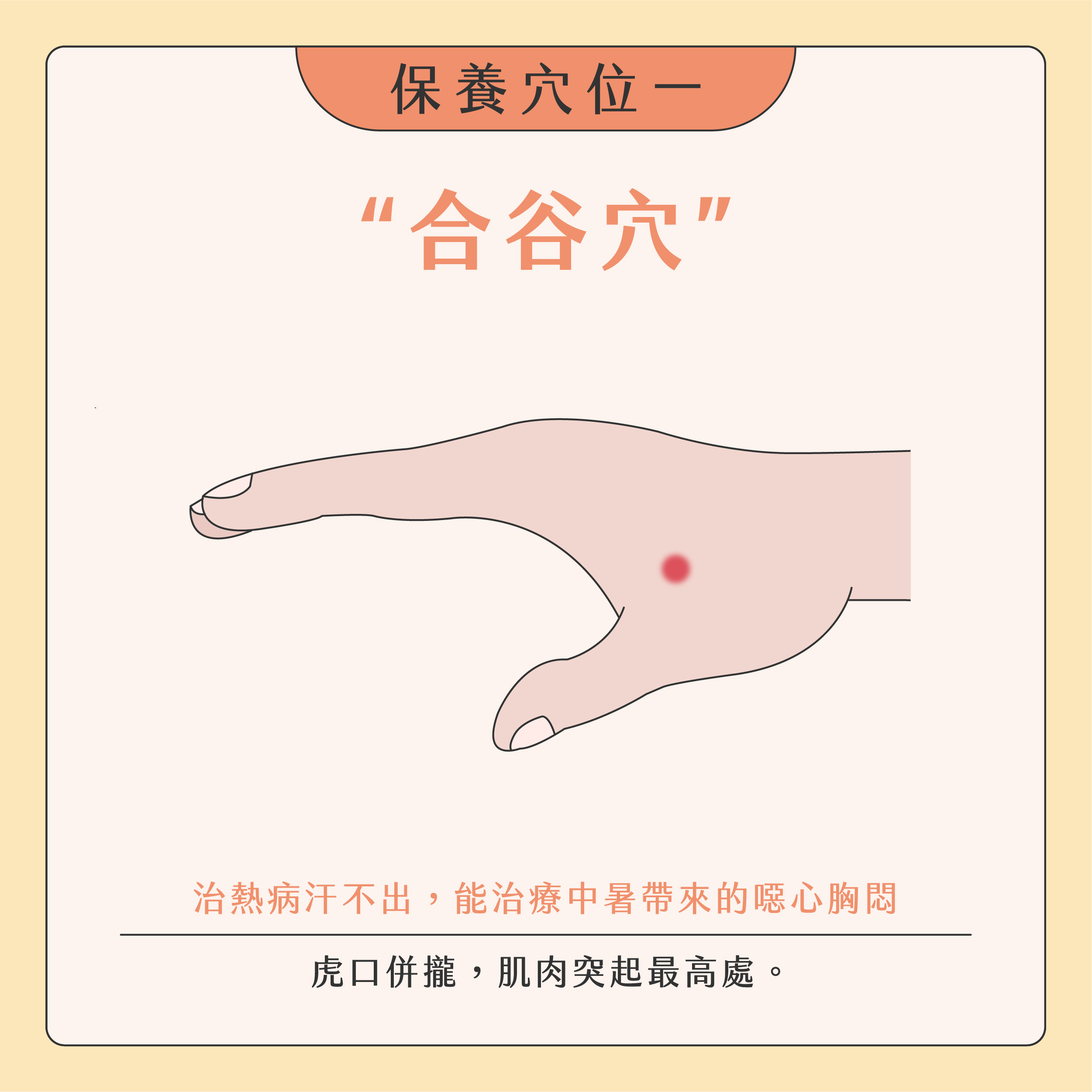 臉部按摩器挑選02