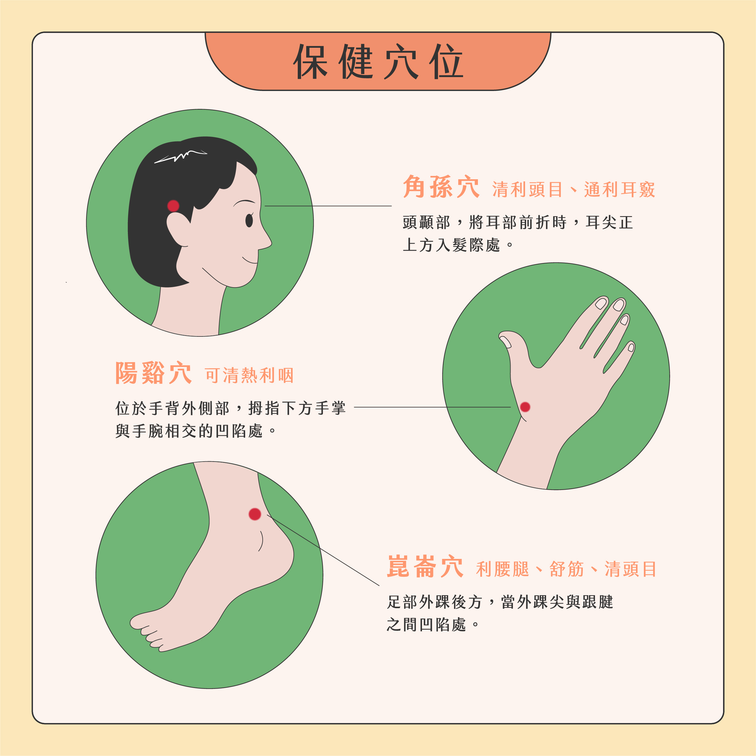 臉部按摩器挑選02