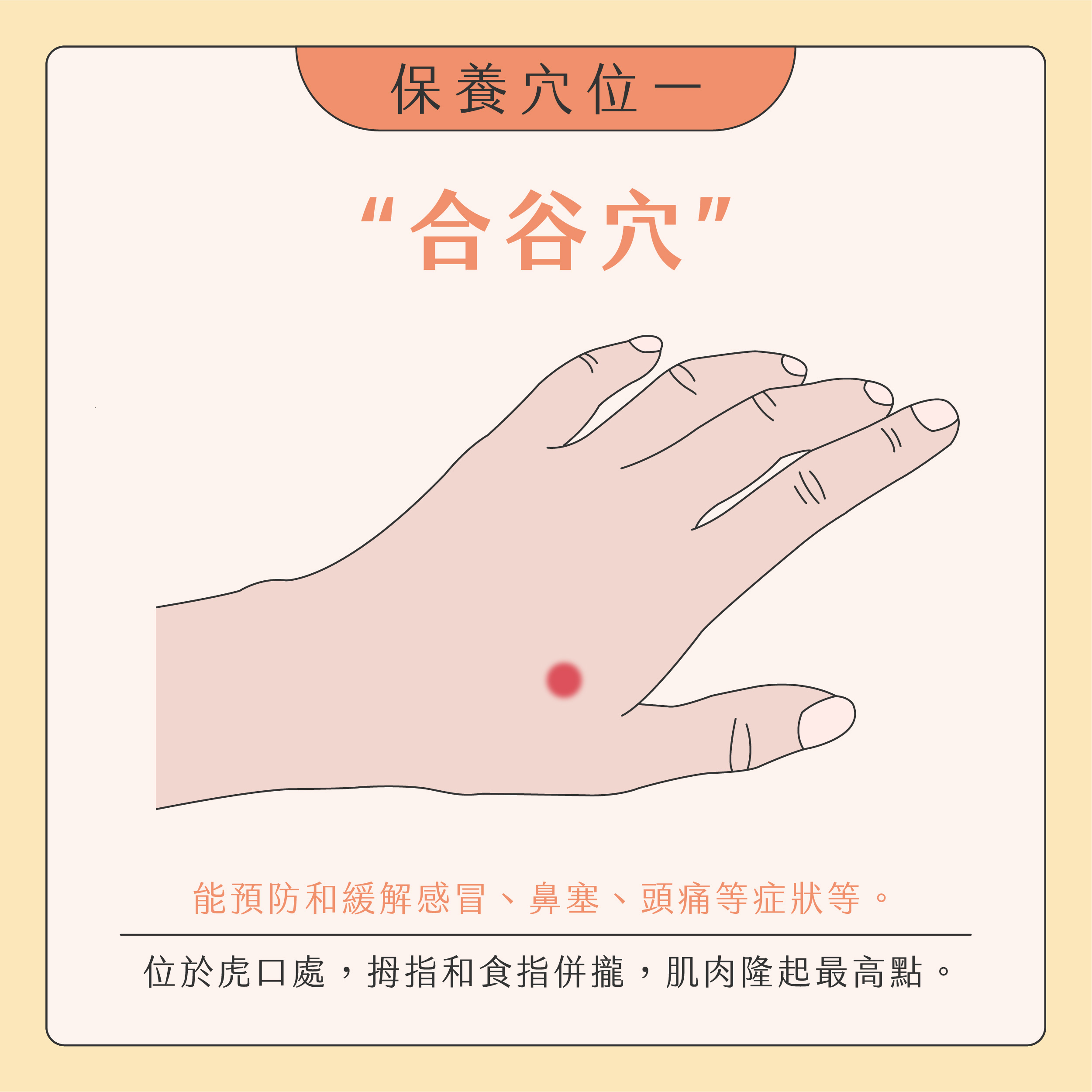 臉部按摩器挑選02