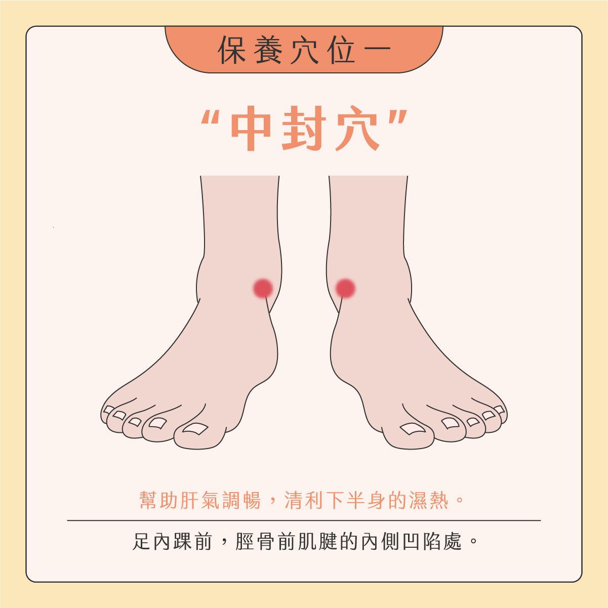 臉部按摩器挑選02