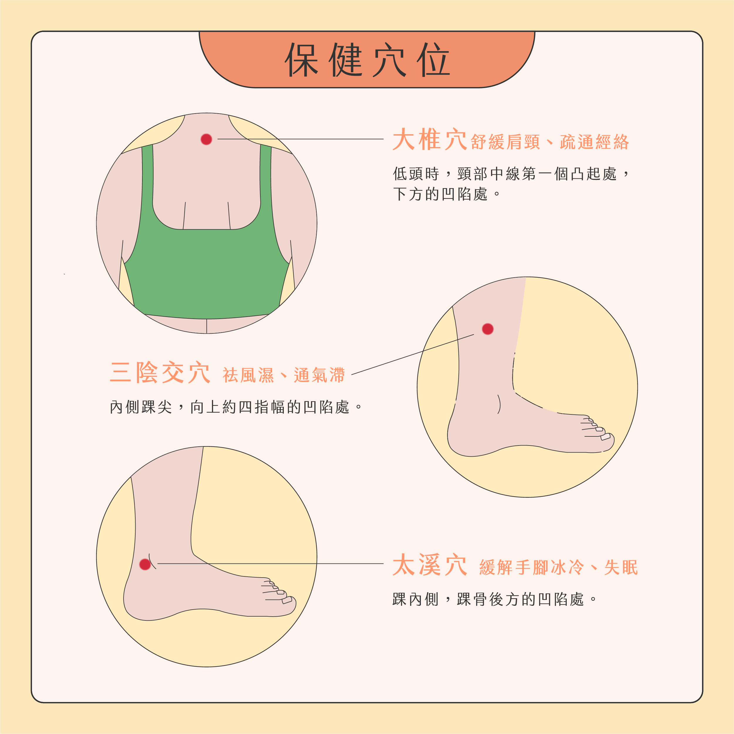 臉部按摩器挑選02