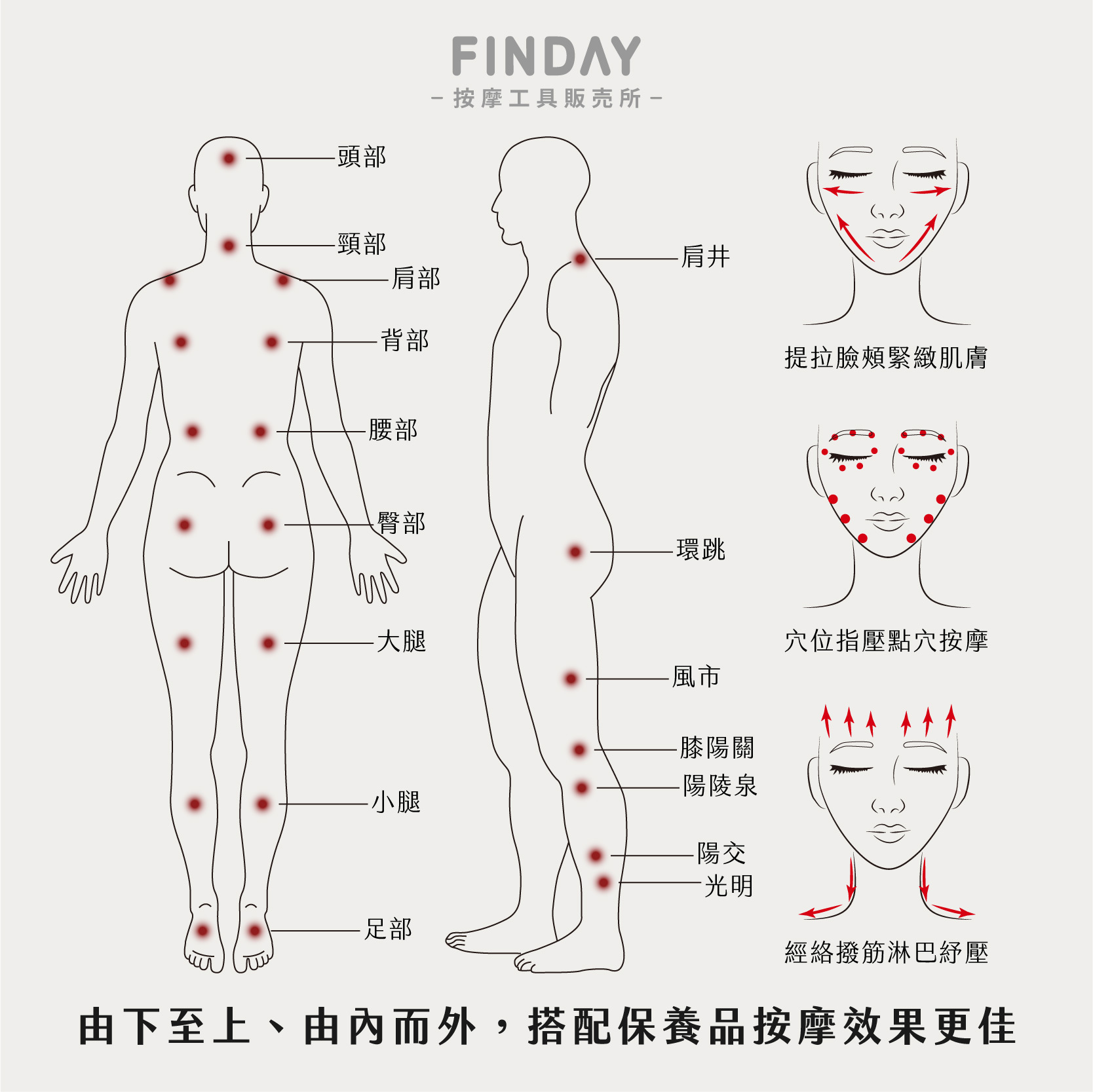 01+TC7_大筆形黑牛角撥筋棒 TC7-06