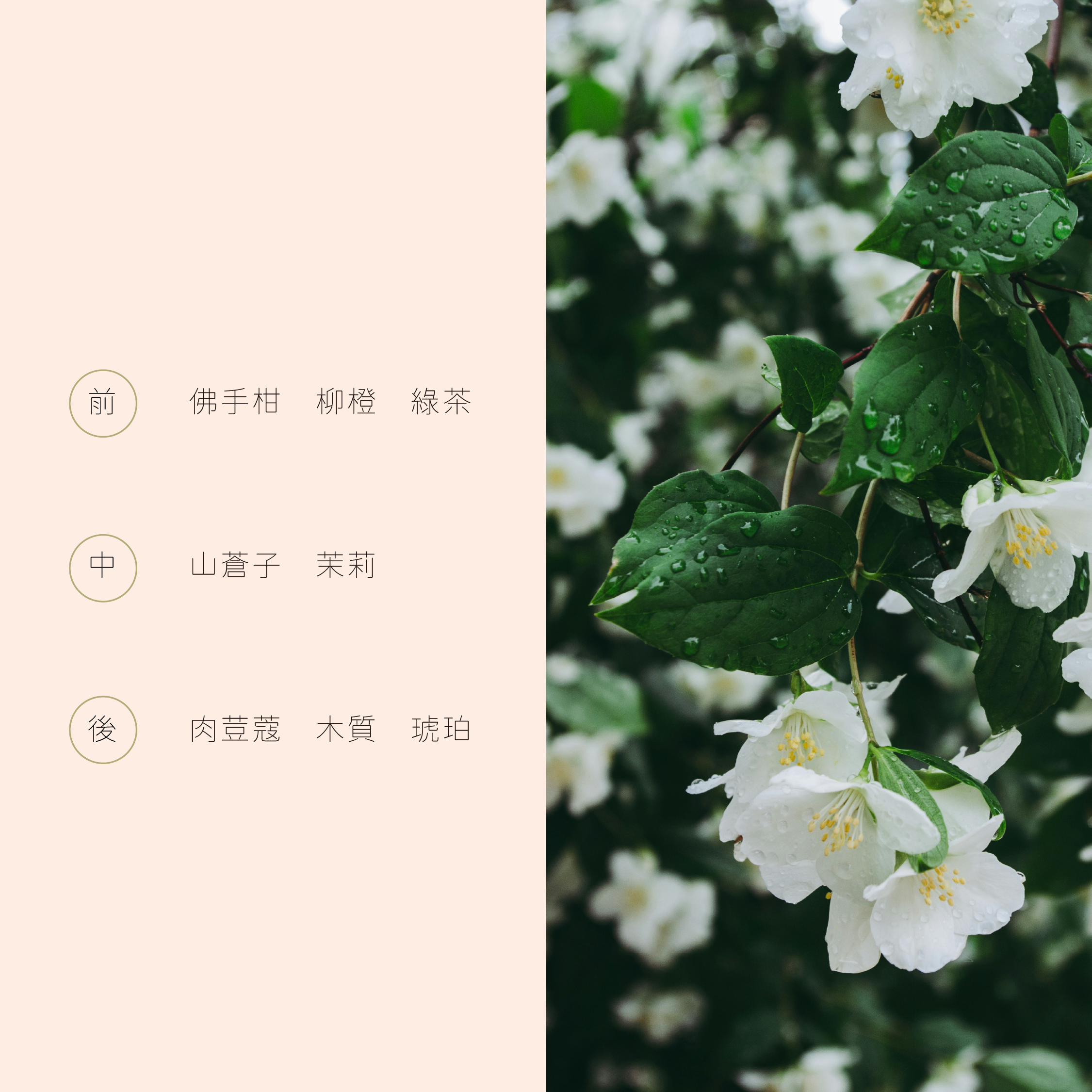 淨屑 [已復原]_工作區域 1-04