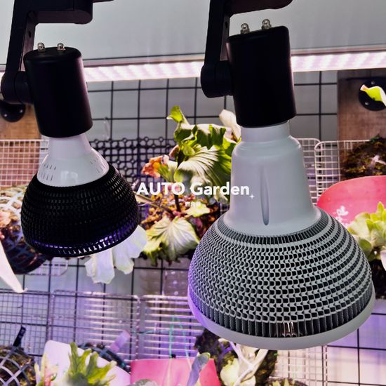  | AUTO Garden