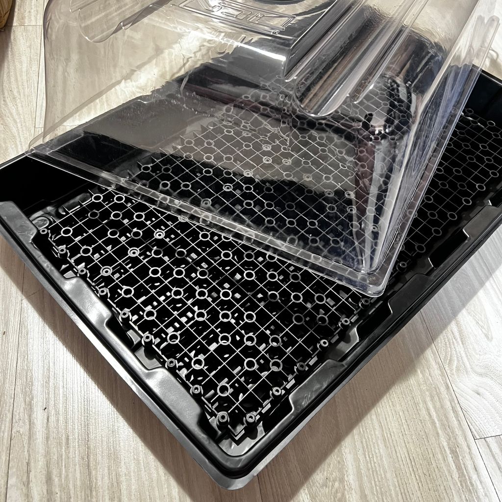 image_335E4F19-913C-4991-B4E7-B15CF3DDAEB0_1774668836