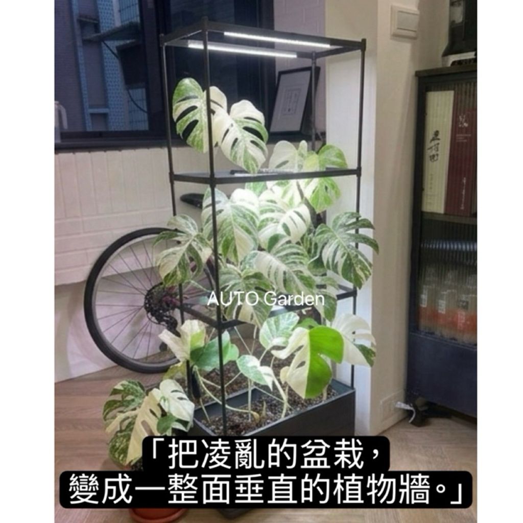 tw-11134207-820ld-mnyjx87l0s9449