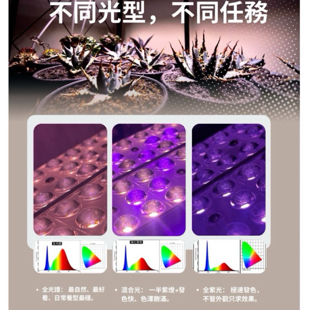 tw-11134207-820lg-mpyecvcmdfyj4b