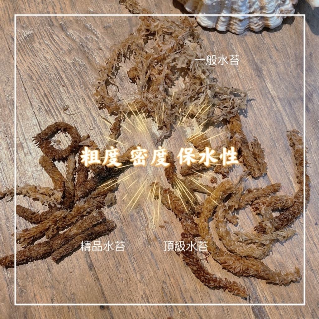 e004d12a31555a2cc83da49104abbd4d