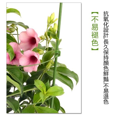 8c5cccd580efcfae18dd1dbb44ae2c45