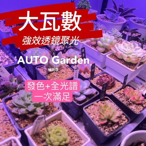 tw-11134207-7rasl-m1fpm221u5nh52